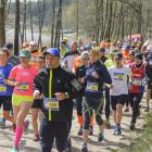 zdjęcie nr 16