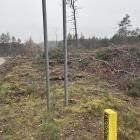 Fotka nr 2 z 4