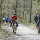 zdjęcie nr 153