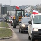 zdjęcie nr 59