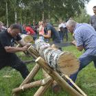 zdjęcie nr 20
