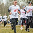 zdjęcie nr 33