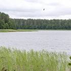Fotka nr 2 z 7