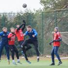 zdjęcie nr 11