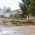 zdjęcie nr 7