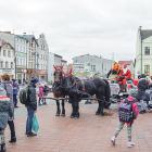 zdjęcie nr 14