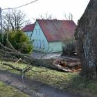 zdjęcie nr 39