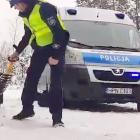 Fotka nr 1 z 2