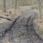 zdjęcie nr 80