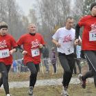zdjęcie nr 27