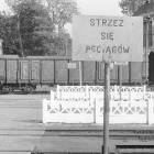 zdjęcie nr 24
