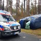 zdjęcie nr 14