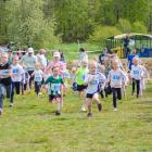 Fotka nr 3 z 189