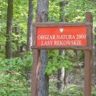 zdjęcie nr 33