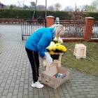 Fotka nr 1 z 4