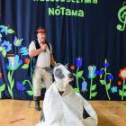 zdjęcie nr 24