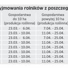 Fotka nr 1 z 2