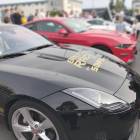 Fotka nr 4 z 12