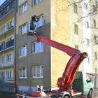 Fotka nr 5 z 7