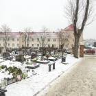 zdjęcie nr 7