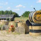 zdjęcie nr 27