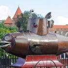 zdjęcie nr 56