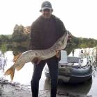 Szczupak (110 cm, waga 9,5 kg) złowiony na Jeziorze Długim w Niezabyszewie.