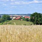 zdjęcie nr 165