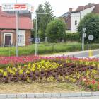 zdjęcie nr 9