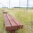 zdjęcie nr 8