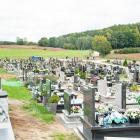 zdjęcie nr 9