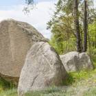 zdjęcie nr 8