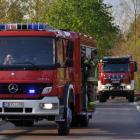 Fotka nr 3 z 26