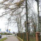 zdjęcie nr 7