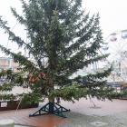 zdjęcie nr 7