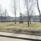 zdjęcie nr 7