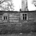 zdjęcie nr 8