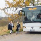 zdjęcie nr 16