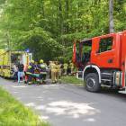 Fotka nr 1 z 17