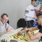 zdjęcie nr 14