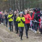 zdjęcie nr 242