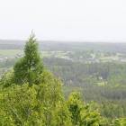 zdjęcie nr 42