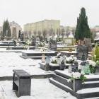 zdjęcie nr 14