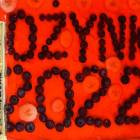 zdjęcie nr 31