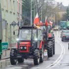 Fotka nr 5 z 18
