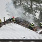 zdjęcie nr 16