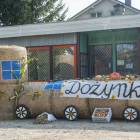zdjęcie nr 13