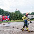 Fotka nr 5 z 14
