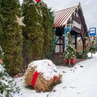 zdjęcie nr 103