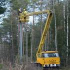 zdjęcie nr 13